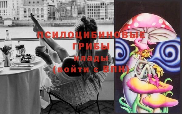 ECSTASY Алексин