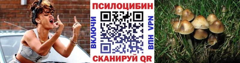 что такое MEGA как войти Галлюциногенные грибы MAGIC MUSHROOMS Берёзовка